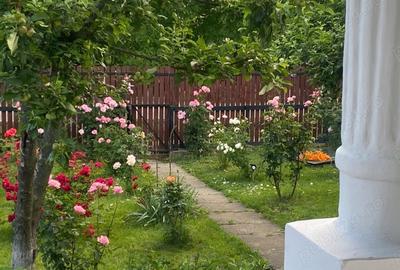 Casă cu Teren 2600 Mp în Periș - 1