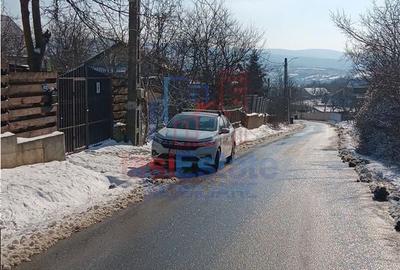 Teren de 3000 mp, în Bârnova - 6