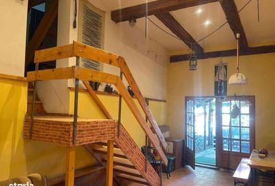 Casă cu 10 camere cu Teren 800 Mp în Central - 3