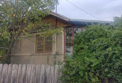 Vanzare casa in Magurele -Prahova - 5