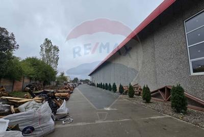 DE VANZARE Hala productie/depozitare - 2