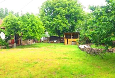 Lipia 10 minute Snagov - 1