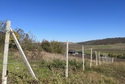 Teren de 1000 mp, în Central - 5