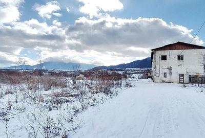 Teren Rezidential Zarnesti - 3