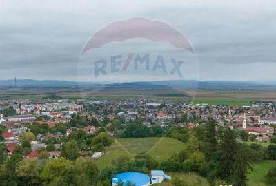 Teren de 3175 mp, în Poiana Angelescu - 12