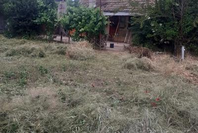 Casă cu 3 camere cu Teren 200 Mp în Periam - 2