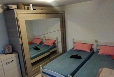 Apartament cu 2 camere decomandat în Bariera Vâlcii - 4
