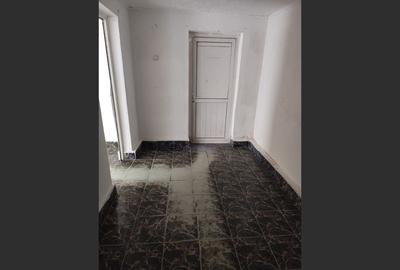 Spatiu comercia zona Penny Malu Rosu - 3