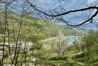 Teren de 4360 mp, în Valea Doftanei - 15