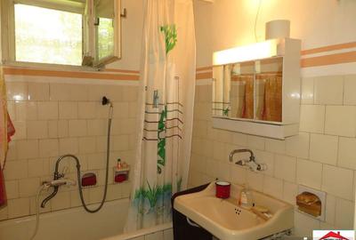 Casă cu 4 camere cu Teren 43000 Mp în Livada - 5