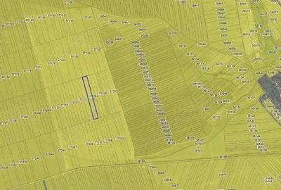 Teren extravilan cota parte 3/24, Nalbant ; ID: R2827364 - 6