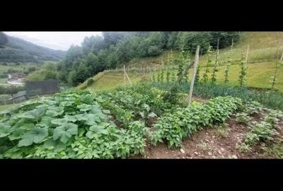 Casă cu 2 camere în Munteni - 1