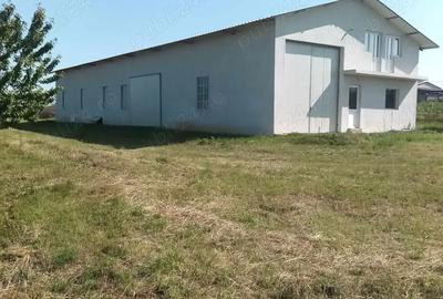 Vand hala industriala - 8