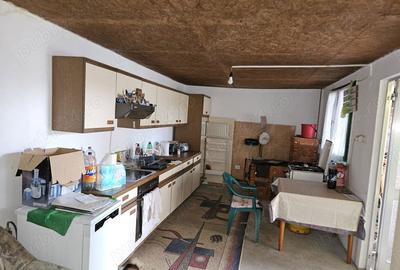 Casă cu 4 camere cu Teren 1105 Mp în Făget - 4
