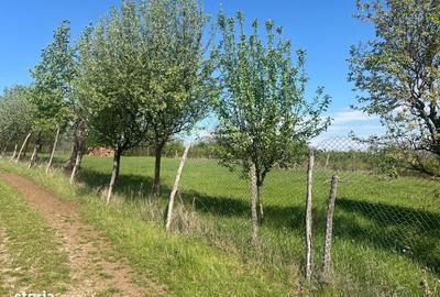 Spațiu comercial, în Central - 5