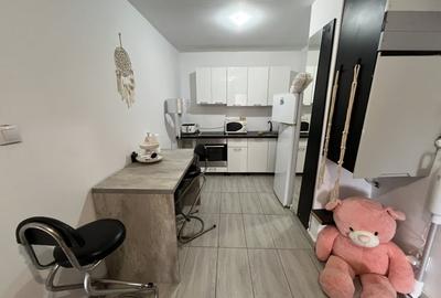 Apartament cu o camera zona Lunei - 6