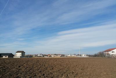 Loturi de teren de 500 m patrati - 5