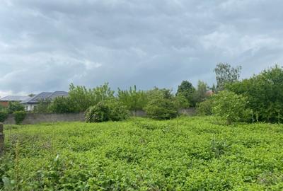 Islaz - Branesti - teren 1374mp - canalizare - gaze - curent - asfalt - 2