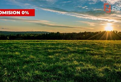 COMISION 0%-Teren de vanzare in Sacalaz - Pretabil constructii, front 24m COMISION 0%-Teren de vanzare in Sacalaz - Pretabil constructii, front 24m - 3