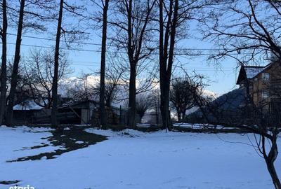 Spațiu comercial, în Bran - 3