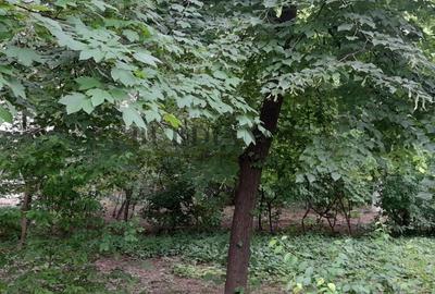 Apartament cu 3 camere semidecomandat, mobilat în Titan - 4