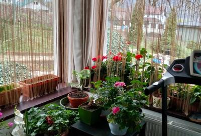 Casă cu 4 camere în Berca - 8