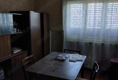 De vanzare casa familiala complet mobilata Dobra, jude?ul Satu Mare - 4