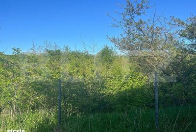 Spațiu comercial, în Central - 5