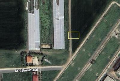 Teren de 2600 mp, în Albești