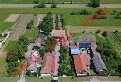Casă familială de vânzare în Pachia! - 21