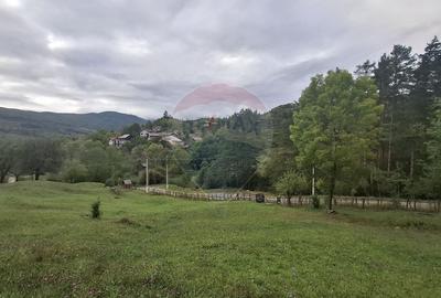 Teren cu priveliste spectaculoasa, 4000mp, la 18km de Sinaia Teren cu priveliste spectaculoasa, 4000mp, la 18km de Sinaia - 6