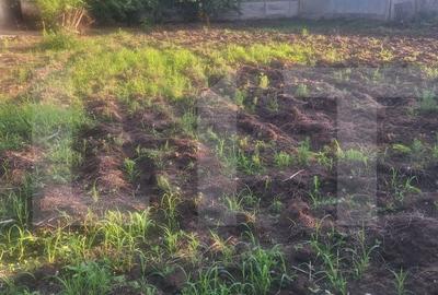 Casă cu 4 camere cu Teren 3500 Mp în Criciova - 8