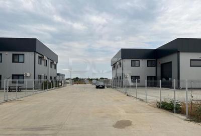 Hala de inchiriat in Domnesti / Centura - 3