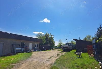 Casă cu 3 camere în Sulița - 2