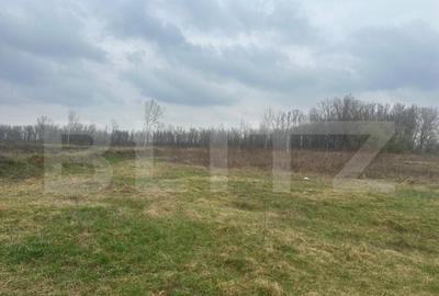 Teren intravilan de vanzare, 4.844 mp, zona Scheia - 1