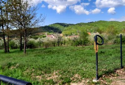 Teren de 1100 mp, în Tăuții-Măgherăuș - 2