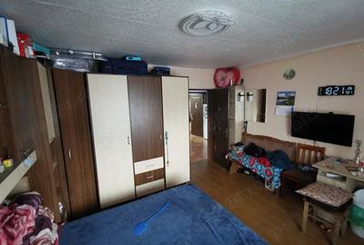 Vand casa Satu Mare str spicului,3 cam placa de beton - 1