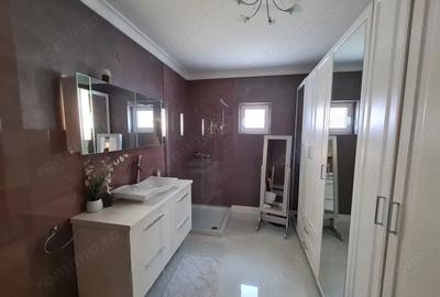 Inchiriere *vila moderna P+1* strada Trandafirilor - cartier Pandura? - 9