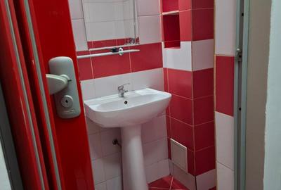 Apartament 2 camere, ultra-central ( pietonala ) -- variante - 9