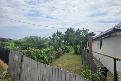 Teren de 455 mp, în Letea Veche - 4