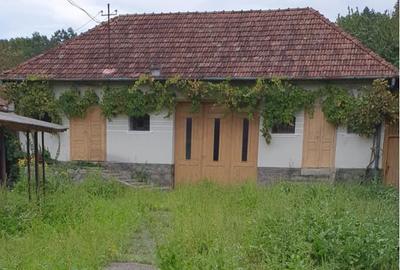 Casă cu 3 camere în Iacobini - 2