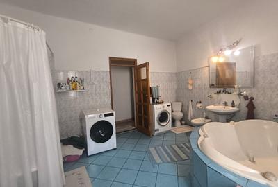 Spațiu comercial de închiriat, S+P+1+Pod - 10