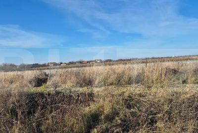 Teren de 1000 mp, în Odoreu - 1