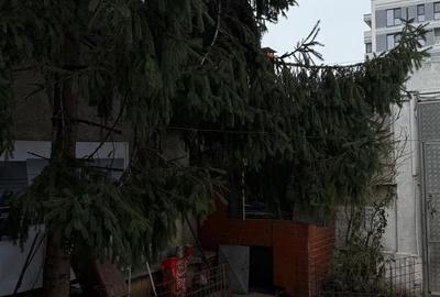 Casă individuală cu 4 camere cu Teren 160 Mp în Colentina - 4