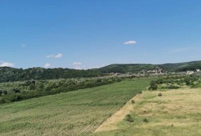 Teren Baraj Maracineni - 3