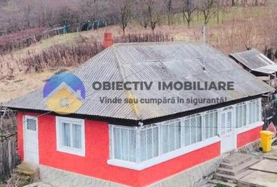 2 CASE de POVESTE intr-o zona linistita + teren 3600 mp - COSTIȘA - 16