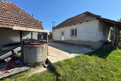 Casă cu Teren 2468 Mp în Șumugiu - 4