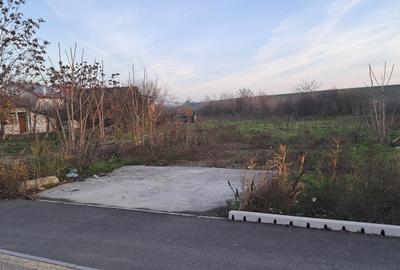 Teren în Cornetu - 4