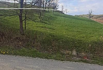 Teren de 3380 mp, în Șoimuș - 8