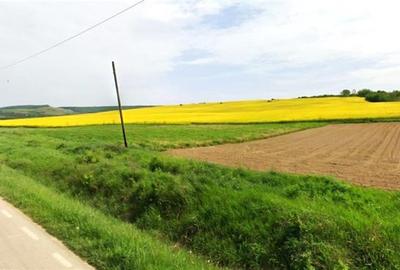 Teren agricol 64 ha comasat| Deschidere 800 m la drum comunal | Utilitati dispon - 2